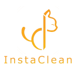 Instaclean startup en Algérie
