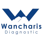 Logo Elwancharis Dignostic
